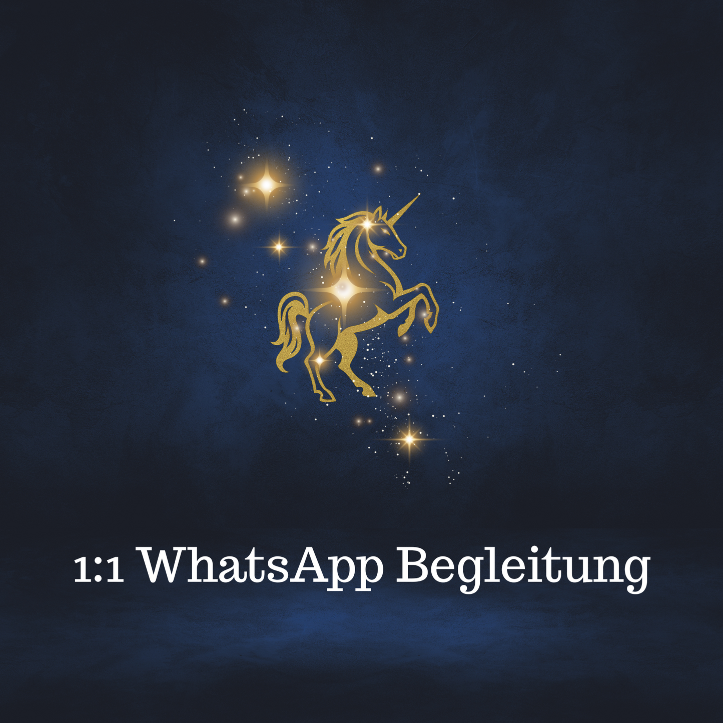 1:1 WhatsApp Begleitung: Deine Alchemistinnen an deiner Seite