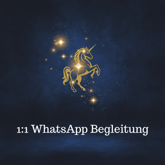 1:1 WhatsApp Begleitung: Deine Alchemistinnen an deiner Seite